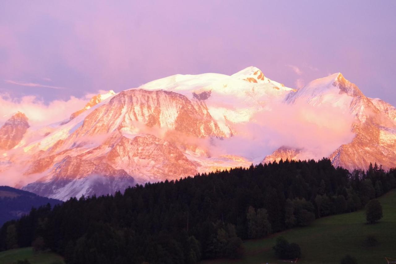 Chalet Le Sabot De Venus Combloux Dış mekan fotoğraf