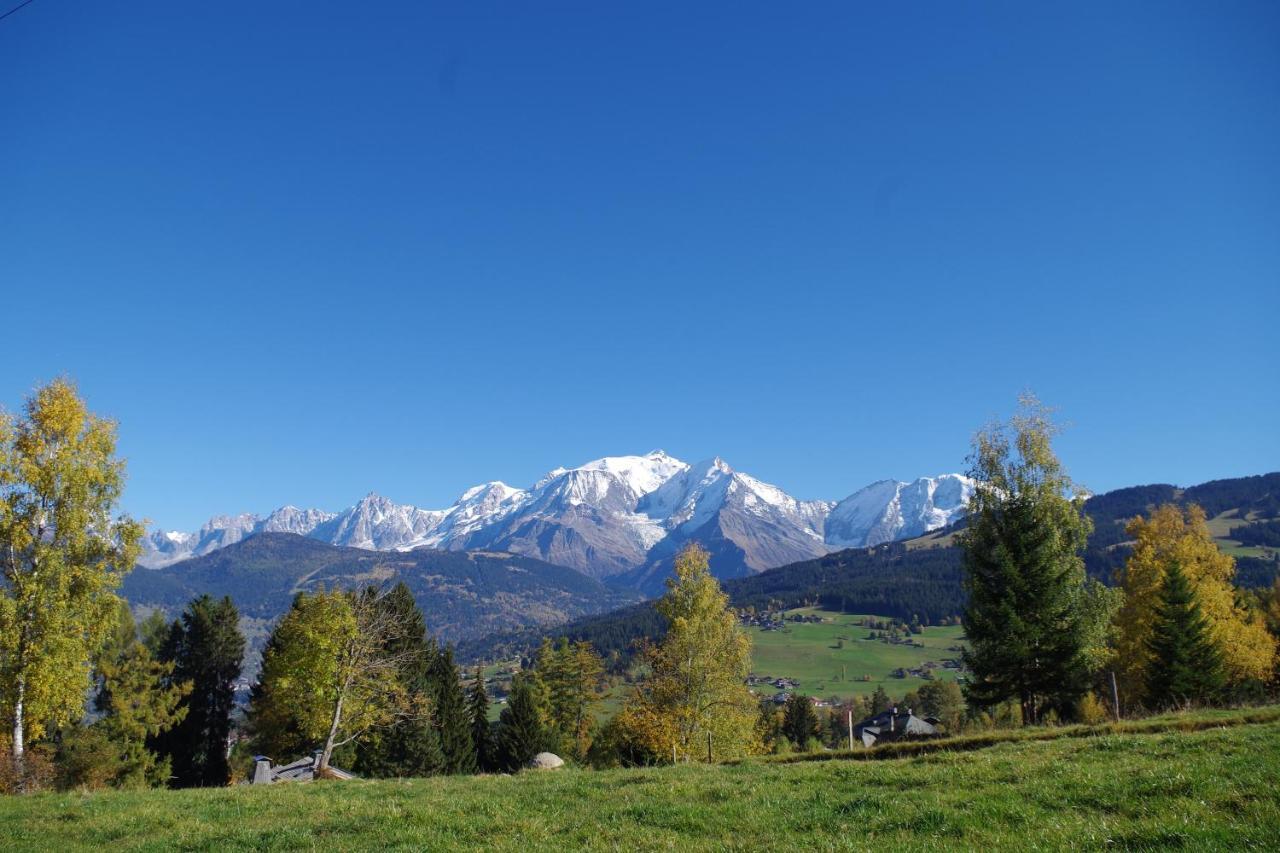 Chalet Le Sabot De Venus Combloux Dış mekan fotoğraf